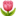 🌷