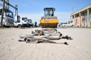 Por una Magdalena más segura y ordenada