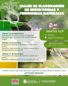 TALLER DE ELABORACIÓN DE INSECTICIDAS Y FUNGICIDAS NATURALES