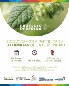 Convocamos a 10 familias de San Lorenzo para ser parte del “Proyecto Peperina”, impulsado por el Ministerio de Ambiente y Economía Circular.