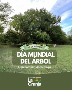 ¡Día Mundial del Árbol!