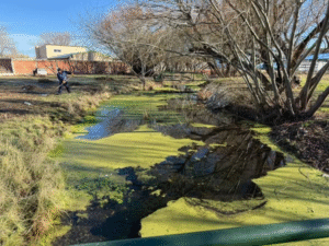 Puesta en valor del Camping Municipal