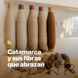 Catamarca transforma sus fibras en prendas de alta calidad, reconocidas internacionalmente….