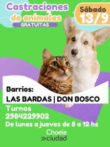 Castraciones gratuitas: barrios LAS BARDAS y DON BOSCO para nuestros animales de compañía….