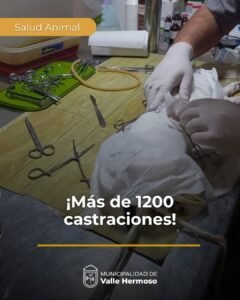 Se desarrolla una nueva jornada de castraciones gratuitas en Valle Hermoso….