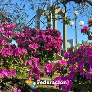 Federación florece…
