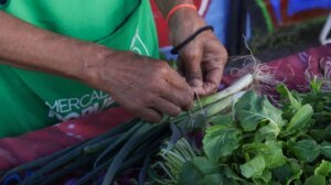 𝙏𝙪 𝙋𝙪𝙣𝙩𝙤 𝙑𝙚𝙧𝙙𝙚…