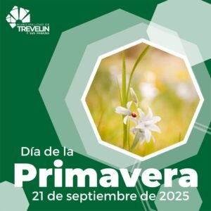 21 DE SEPTIEMBRE | DÍA DE LA PRIMAVERA…