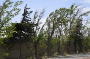 La Direccion Gestion de Riesgos (DirGR) remite infornacion del OHMC:…