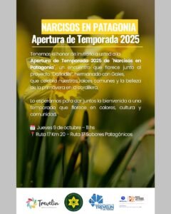 NARCISOS EN PATAGONIA…