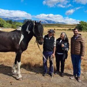 LA SECRETARÍA DE TURISMO DE TREVELIN ACOMPAÑA EL DESARROLLO DE “FRISÓN BAROCK PATAGONIA”, UNA PROPUESTA ÚNICA EN EL PAÍS…