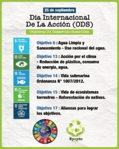 Dia Internacional de los ODS….