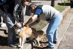 ¡ARRANCÓ LA VACUNACIÓN DE MASCOTAS!
