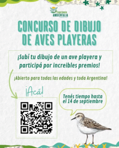 Ya pueden sumarse al Concurso de Dibujo de Aves Playeras