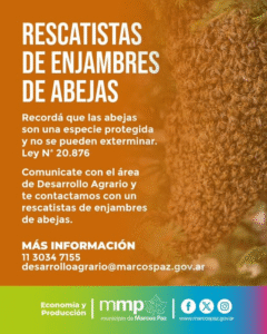 Rescatistas de enjambres de abejas