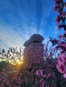 ¡La primavera florece en Capilla del Monte!…