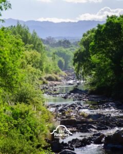 ¿Ya pensaste tu escapada de verano?…