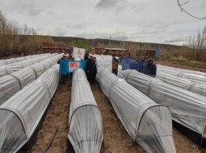 En un trabajo en conjunto con INTA de Esquel, Fundación 500RPM, RED-ER y Frutillas del Viento; la secretaría de Producción y el personal del…
