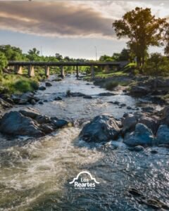 Deslizá y descubrí la magia de nuestros días soleados: familias disfrutando a la orilla del río, mates bajo la sombra de los árboles y la fr…
