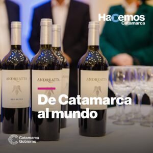 Vinos que representan a Catamarca…