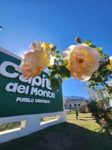 Continuamos con las tareas de mantenimiento urbano en los espacios públicos….