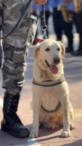 Despedimos a los perros de la División Canes de la Policía de la Provincia, que fueron adoptados por familias catamarqueñas….