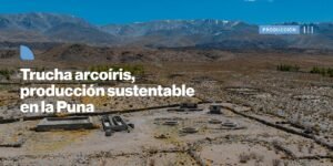 Producción e innovación en la provincia…