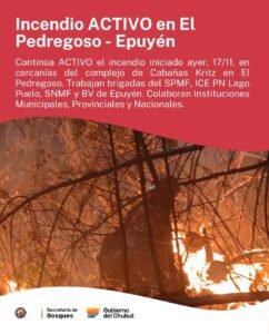 INCENDIO ACTIVO en El Pedregoso – Epuyén…