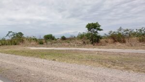 Trabajos de Limpieza en el Acceso Norte…