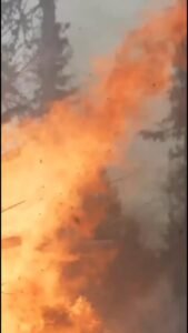 ¿Sabes cómo evacuar en un incendio?…