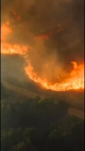 ¿Sabes cuáles son los estados de un incendio?…