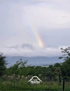 Días de lluvia en Los Reartes, nos regalan momentos como este…