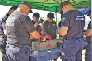 OPERATIVO INTERINSTITUCIONAL DE DESTRUCCIÓN DE PIROTECNIA…