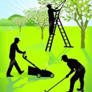 La Municipalidad informa:…