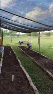 El Vivero Inclusivo Municipal sigue creciendo y dando sus primeros frutos. En los últimos días, ya comenzaron a verse las primeras cosechas …