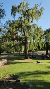 Mantenimiento diario de nuestro Balneario Municipal Calabalumba.