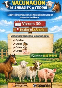 Fecha de Vacunación de Animales de Corral…