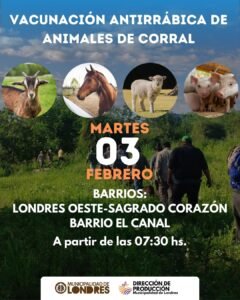 VACUNACIÓN ANTIRRÁBICA DE ANIMALES DE CORRAL…