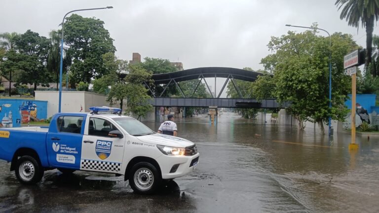 Desde el área de Prevención del Municipio estamos trabajando de manera articulada con Provincia para intervenir ante los anegamientos regis…