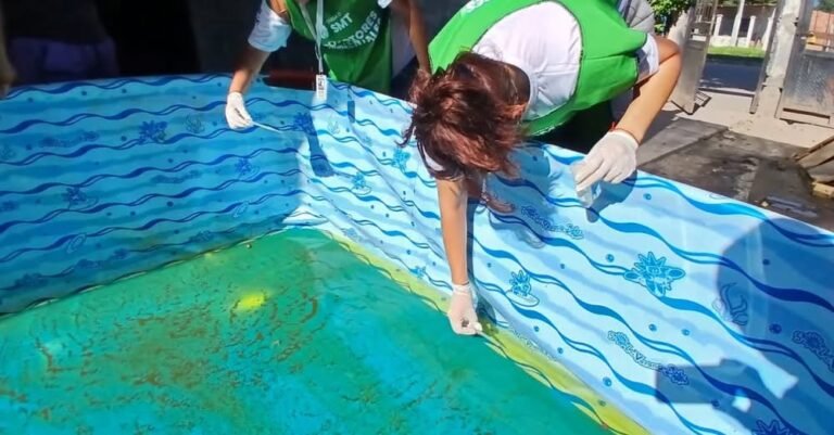 Plan Integral Antimosquito (PIA): ingresá al link y conocé las zonas donde instalaremos contenedores para depositar cacharros….