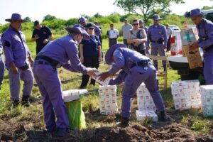 INCINERACIÓN DE CIGARRILLOS INCAUTADOS…