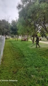 El personal municipal continúa trabajando de manera permanente en tareas de limpieza y mantenimiento en distintos sectores de la ciudad. Dur…