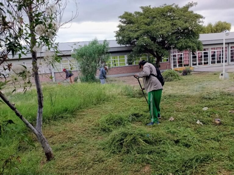 TRABAJO ARTICULADO PARA EL INICIO DEL CICLO LECTIVO 2026…