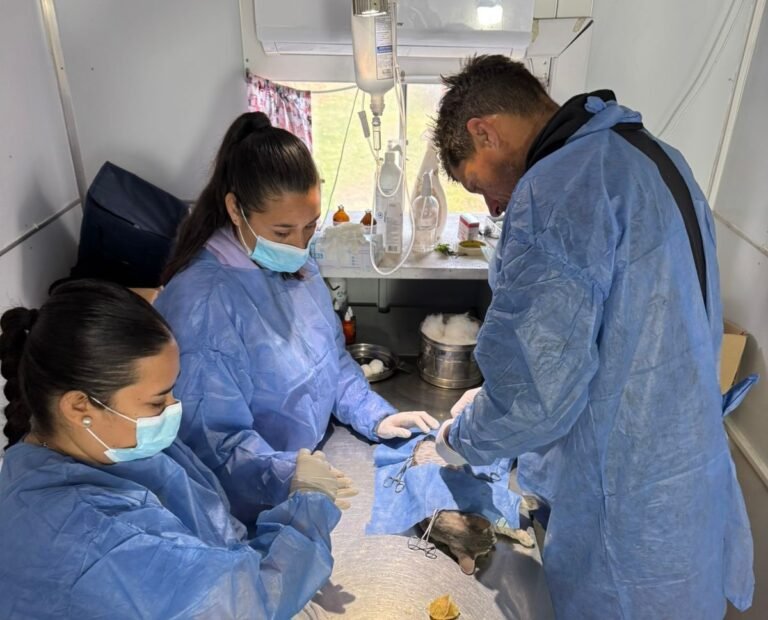 Se realizaron más de 45 castraciones en la primera semana de febrero