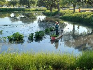 Cuidamos nuestras lagunas…