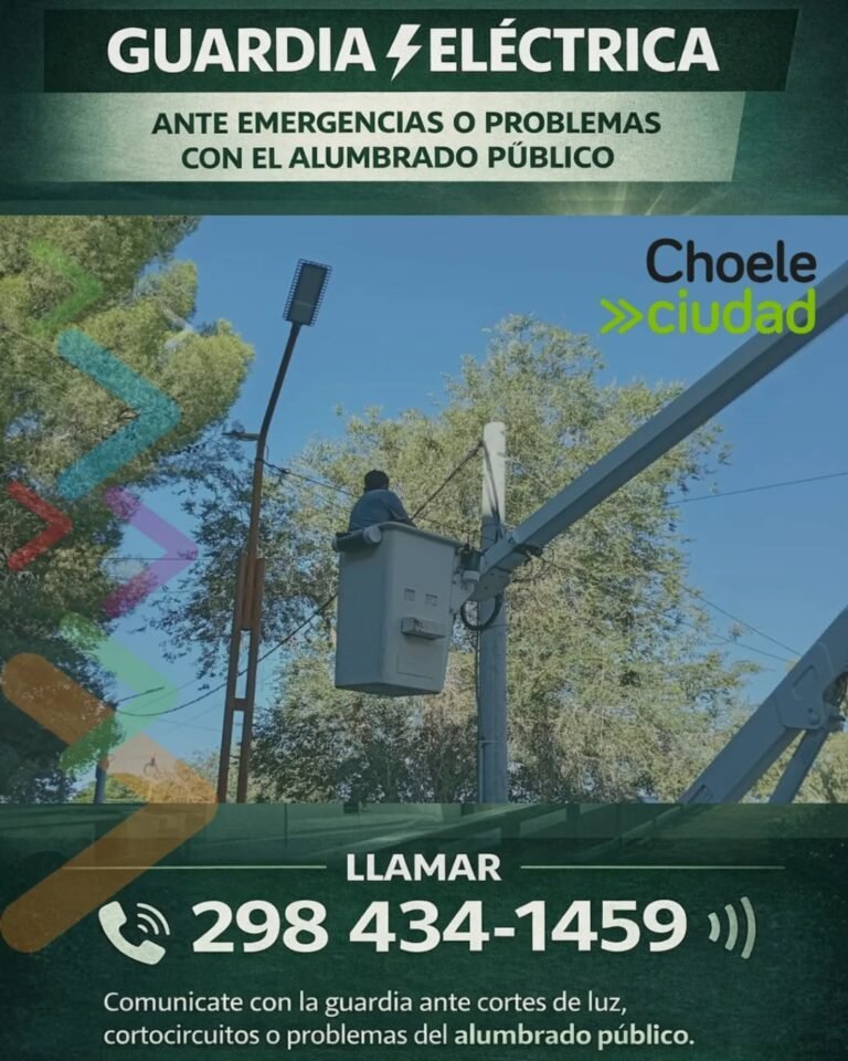 Guardia eléctrica….