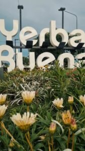 UNA MAÑANA EN YERBA BUENA…