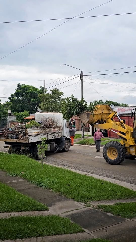 Respuestas concretas en Lomas 600…