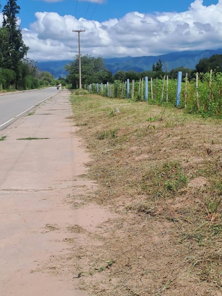 El área de Medio Ambiente continúa trabajando intensamente en la limpieza y mantenimiento de nuestras calles y espacios públicos…