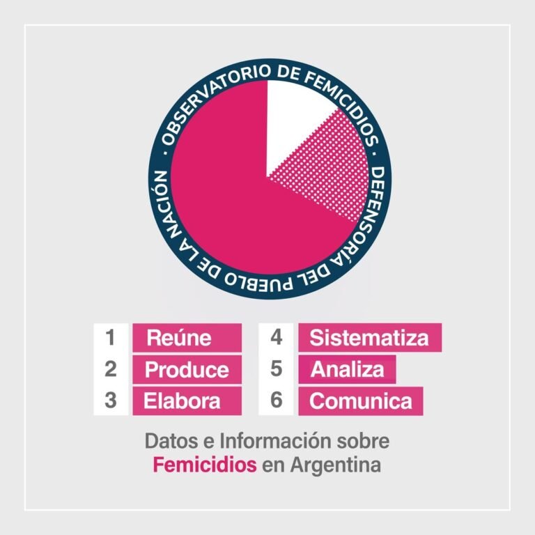 El Observatorio de Femicidios de la Defensoría del Pueblo de la Nación fue creado en 2016 destacando la necesidad de generar estadísticas de…